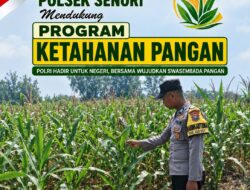 Mendukung Program Ketahanan Pangan Nasional Anggota Bhabinkamtibmas Polsek Senori Polresta Tuban Monitoring Tanaman Jagung Warga Desa Jatisari