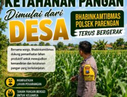 Dukung Program ASTACITA, Bhabinkamtibmas Desa Suciharjo Polsek Parengan Polresta Tuban sambangi lokasi tanaman Jagung Di Desa Suciharjo Kec. Parengan