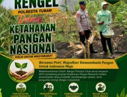 Polri Dukung Astacita, Polsek Rengel Polresta Tuban Turun Cek Tanaman Jagung Warga di Desa Sawahan