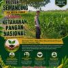 Polri Dukung Astacita, Polsek Semanding Polresta Tuban Turun Cek Tanaman jagung milik Warga di Desa Ngino