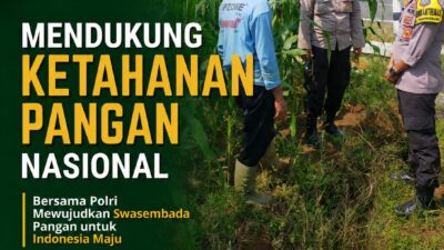 Polsek Tuban Dukung Ketahanan Pangan Nasional melalui Pendampingan Petani