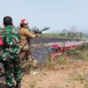 Sinergi Lintas Sektor Padamkan Api yang Melahap Bukit Korea