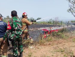 Sinergi Lintas Sektor Padamkan Api yang Melahap Bukit Korea