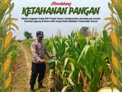 Polsek Tambakboyo Polresta Tuban Dampingi Petani Cek Lahan Jagung, Dukung Program Ketahanan Pangan