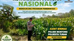 Polsek Montong Polresta Tuban Turun Cek Tanaman jagung Warga di Desa Pucangan