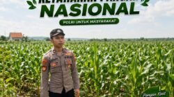 Polsek Singgahan Polresta Tuban Turun Cek Tanaman jagung Warga di Desa Lajo Lor