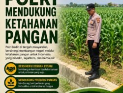Polri Dukung Astacita, Polsek Merakurak Polres Tuban Turun Cek Tanaman Jagung Warga di Desa Tuwiri Wetan
