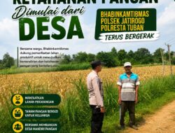 Dukung Asta Cita, Polsek Jatirogo Turun Langsung Pantau Ladang Jagung Warga Desa Ketodan