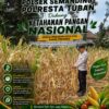 Polri Dukung Astacita, Polsek Semanding Polresta Tuban Turun Cek Tanaman jagung milik Warga di Desa Jadi