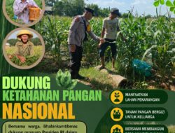 Polri Dukung Astacita, Polsek Rengel Polresta Tuban Turun Cek Tanaman Jagung Warga di Desa Sawahan