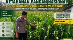 Polsek Montong Polresta Tuban Turun Cek Tanaman jagung Warga di Desa Pakel