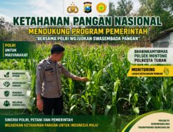 Polsek Montong Polresta Tuban Turun Cek Tanaman jagung Warga di Desa Pakel
