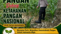 Ketahanan Pangan, Polri Hadir Dukung Swasembada Pangan Nasional