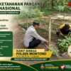 Polsek Montong Polresta Tuban Turun Cek Tanaman jagung Warga di Desa Pucangan