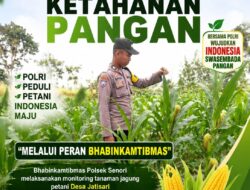 Mendukung Program Ketahanan Pangan Nasional Anggota Bhabinkamtibmas Polsek Senori Polresta Tuban Monitoring Tanaman Jagung Warga Desa Jatisari