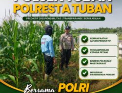 Polsek Tuban Bersama Petani Dukung Swasembada Pangan untuk Indonesia Maju
