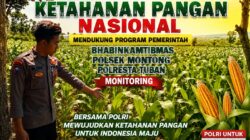 Polsek Montong Polresta Tuban Turun Cek Tanaman jagung Warga di Desa Ngulahan