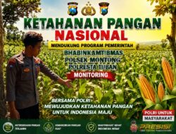Polsek Montong Polresta Tuban Turun Cek Tanaman jagung Warga di Desa Ngulahan