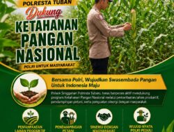 Polsek Singgahan Polresta Tuban Turun Cek Tanaman jagung Warga di Desa Tingkis