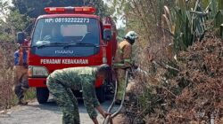 Babinsa Taman Sari Sigap Tangani Kebakaran Lahan Kebun