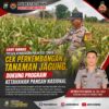 Dukung Astacita, Polsek Palang Polresta Tuban Pantau Langsung Lahan Jagung milik warga Desa Wangun