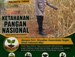Dukung Astacita, Polsek Palang Polresta Tuban Pantau Langsung Lahan Jagung milik warga Desa Tasikmadu