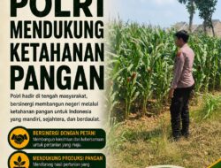 POLSEK TUBAN DUKUNG KETAHANAN PANGAN MELALUI PEMANFAATAN LAHAN PERTANIAN