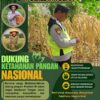 Polri Dukung Astacita, Polsek Rengel Polresta Tuban Turun Cek Tanaman Jagung Warga di Desa Sawahan