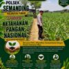 Polri Dukung Astacita, Polsek Semanding Polresta Tuban Turun Cek Tanaman jagung milik Warga di Desa Tegalagung