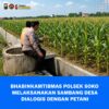 Polsek Soko Polresta Tuban Turun Langsung Cek Tanaman Jagung Warga