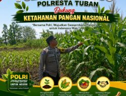 Dukung Asta Cita, Polsek Jatirogo Turun Langsung Pantau Ladang Jagung Warga Desa Jatiklabang