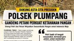 Polsek Plumpang Polresta Tuban Turun Langsung Cek Tanaman Jagung Warga