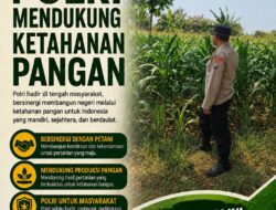Dukung Ketahanan Pangan, Anggota Polsek Bancar Turun Langsung Bantu Warga Desa Ngampelrejo Panen Jagung