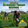 Polsek Soko Polresta Tuban Turun Langsung Cek Tanaman Jagung Warga