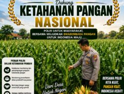 DUKUNG KETAHANAN PANGAN NASIONAL, BHABINKAMTIBMAS DESA NGAWUN POLSEK PARENGAN POLRESTA TUBAN MONITORING LAHAN JAGUNG MILIK PETANI DI DESA NGAWUN KEC. PARENGAN.