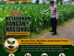 *Dukung Astacita, Polsek Palang Polresta Tuban Pantau Langsung Lahan Jagung milik warga Desa Wangun*