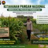 Polsek Montong Polresta Tuban Turun Cek Tanaman jagung Warga di Desa Pucangan