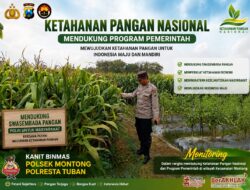 Polsek Montong Polresta Tuban Turun Cek Tanaman jagung Warga di Desa Pucangan