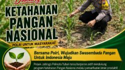 Dukung Asta Cita, Polsek Jatirogo Turun Langsung Pantau Ladang Jagung Warga Desa Paseyan
