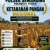 Polri Dukung Astacita, Polsek Semanding Polresta Tuban Turun Cek Tanaman jagung milik Warga di Desa Ngino