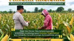 Polsek Soko Polresta Tuban Turun Langsung Cek Tanaman Jagung Warga