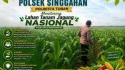 Polsek Singgahan Polresta Tuban Turun Cek Tanaman jagung Warga di Desa Lajo Lor
