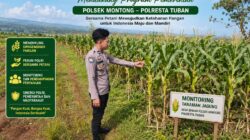 Polsek Montong Polresta Tuban Turun Cek Tanaman jagung Warga di Desa Pakel