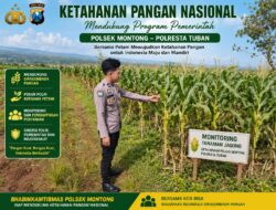 Polsek Montong Polresta Tuban Turun Cek Tanaman jagung Warga di Desa Pakel