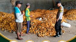 “PANTAU GUDANG PENGERINGAN DAN PENYIMPANAN JAGUNG, ANGGOTA POLSEK KEREK DUKUNG KETAHANAN PANGAN”