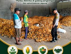 “PANTAU GUDANG PENGERINGAN DAN PENYIMPANAN JAGUNG, ANGGOTA POLSEK KEREK DUKUNG KETAHANAN PANGAN”