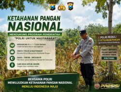 Polsek Montong Polresta Tuban Turun Cek Tanaman jagung Warga di Desa Ngulahan