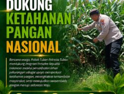 Polsek Tuban Dukung Ketahanan Pangan Nasional, Pantau Langsung Lahan Jagung Warga