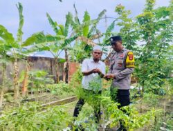Sinergi Bhabinkamtibmas dan Warga Desa Bajur Sulap Lahan Kosong Jadi Area Produktif