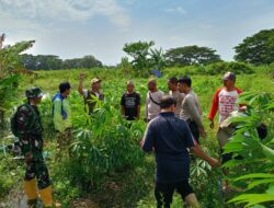 Aksi Nyata Polsek Batulayar Dampingi Warga Sulap Pejabat Desa Mandiri Pangan
